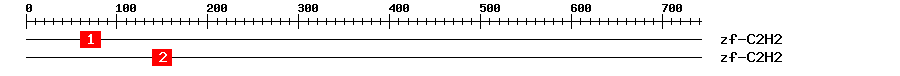 Signature Domain