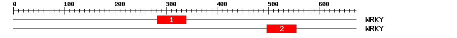 Signature Domain