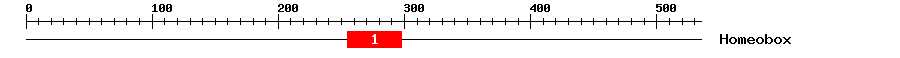 Signature Domain