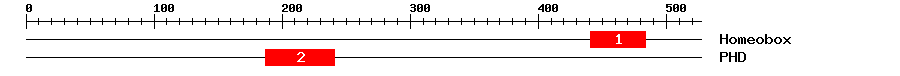 Signature Domain