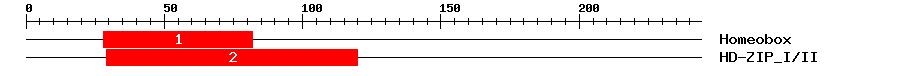 Signature Domain