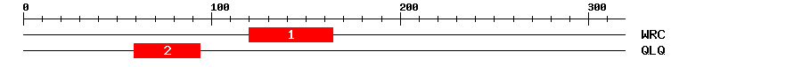 Signature Domain