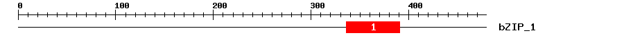 Signature Domain