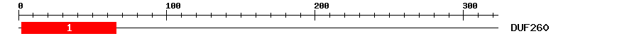 Signature Domain