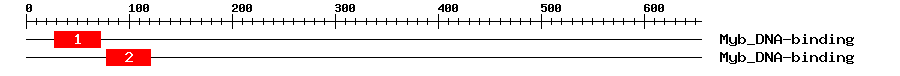 Signature Domain