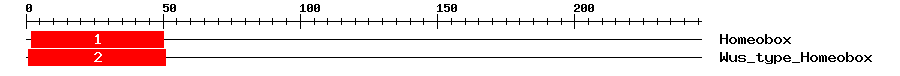 Signature Domain