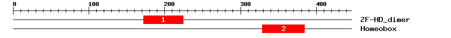 Signature Domain