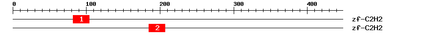 Signature Domain