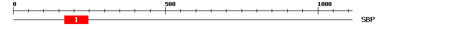 Signature Domain