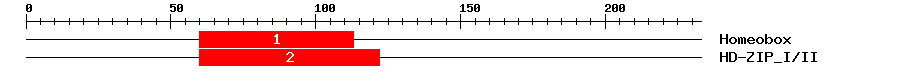 Signature Domain