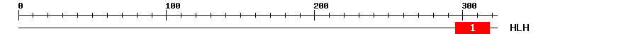 Signature Domain