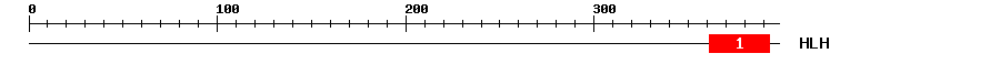 Signature Domain