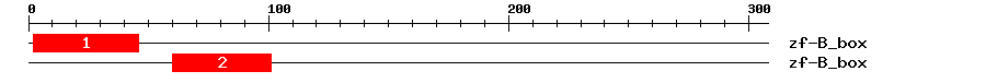 Signature Domain