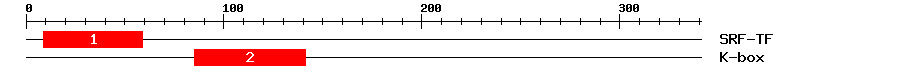 Signature Domain