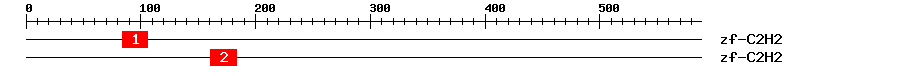 Signature Domain