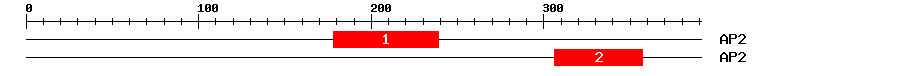Signature Domain
