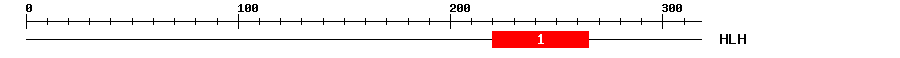 Signature Domain