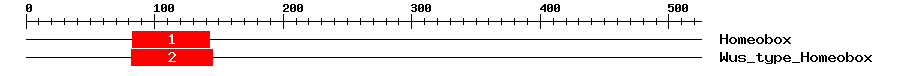 Signature Domain