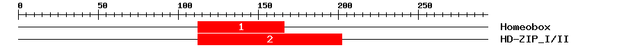 Signature Domain
