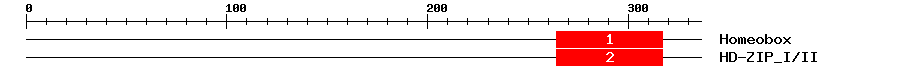 Signature Domain