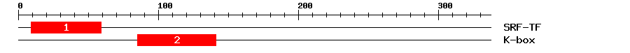 Signature Domain