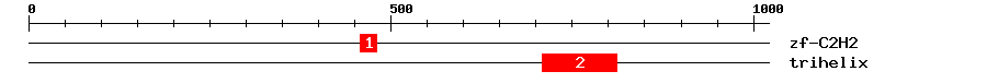 Signature Domain