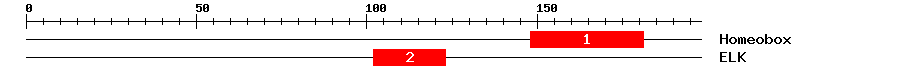 Signature Domain
