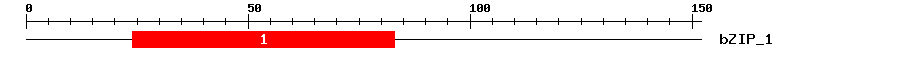 Signature Domain