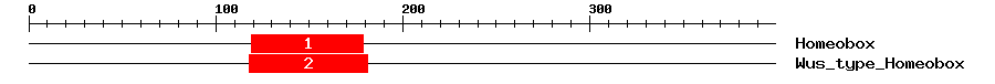 Signature Domain