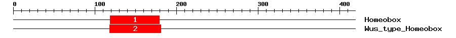 Signature Domain