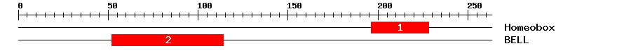 Signature Domain
