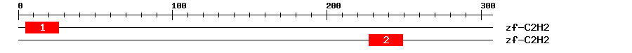 Signature Domain