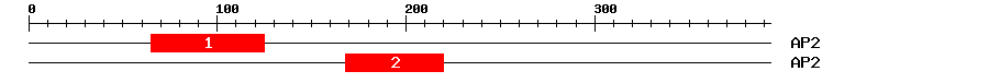 Signature Domain