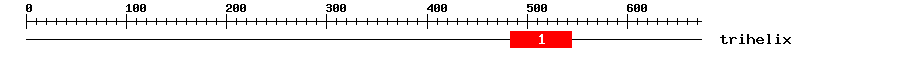 Signature Domain