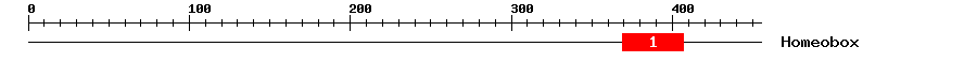 Signature Domain
