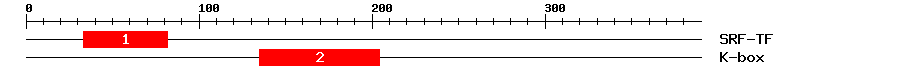 Signature Domain