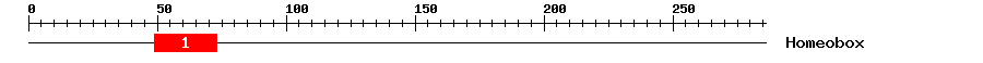 Signature Domain