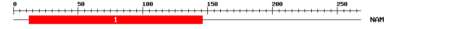 Signature Domain