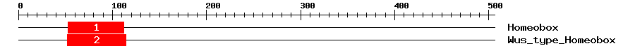Signature Domain