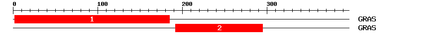 Signature Domain