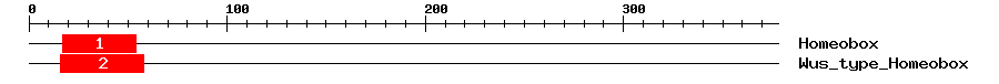 Signature Domain
