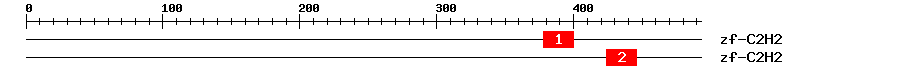 Signature Domain