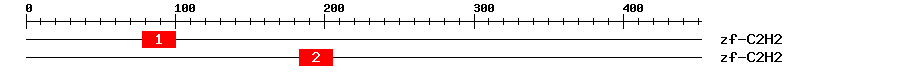 Signature Domain