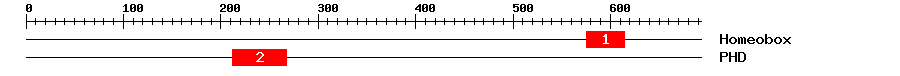 Signature Domain