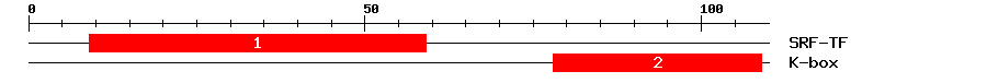 Signature Domain