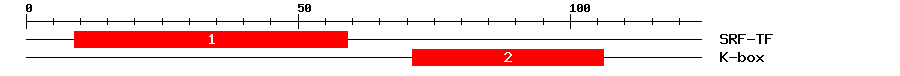 Signature Domain