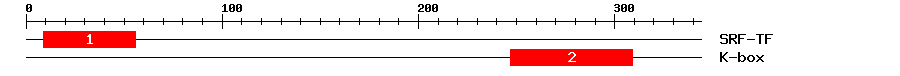 Signature Domain