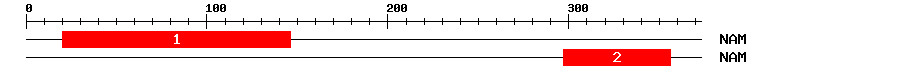 Signature Domain