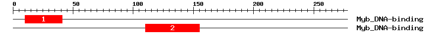 Signature Domain