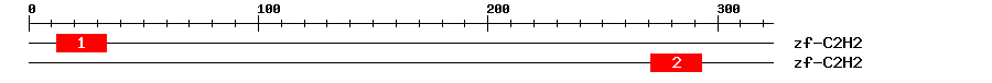 Signature Domain